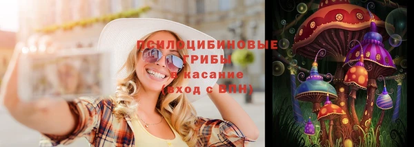 ПСИЛОЦИБИНОВЫЕ ГРИБЫ Верея