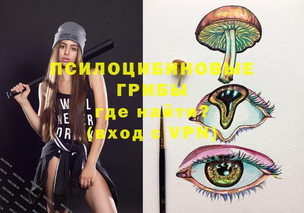 ПСИЛОЦИБИНОВЫЕ ГРИБЫ Верея